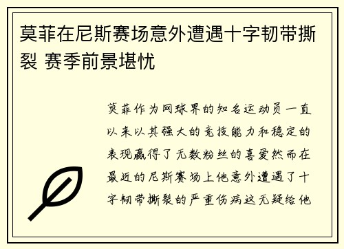 莫菲在尼斯赛场意外遭遇十字韧带撕裂 赛季前景堪忧